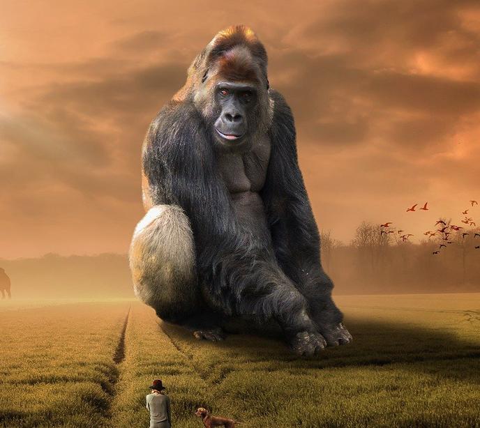 A large ape sat on grass with a brown sky and birds flying across on the right hand side.