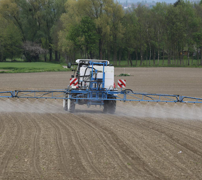 A blue combine harvester in the middle of a field spraying crops.