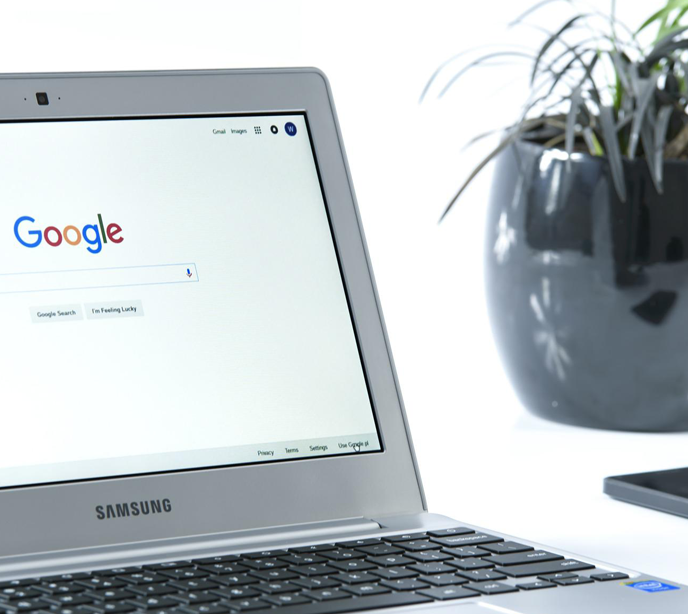 A laptop with a Google homepage open next to a plant in a pot and a mobile phone.