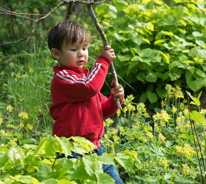 A child running through a wood holding a large branch