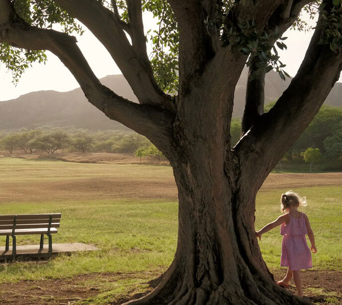 A child looking out to a large park with her hand placed on a tree