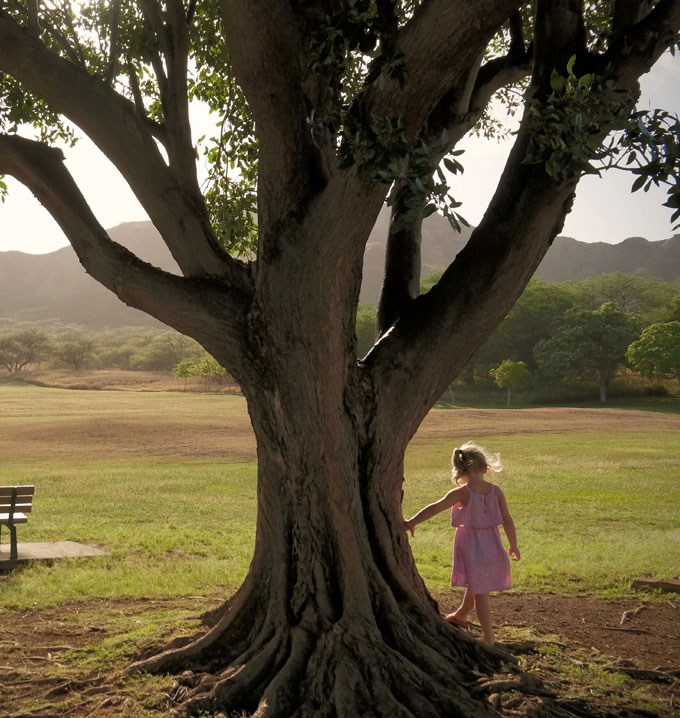 A child wearing a pink dress with her hand stretched out touching a tree in a field with the sun shining.