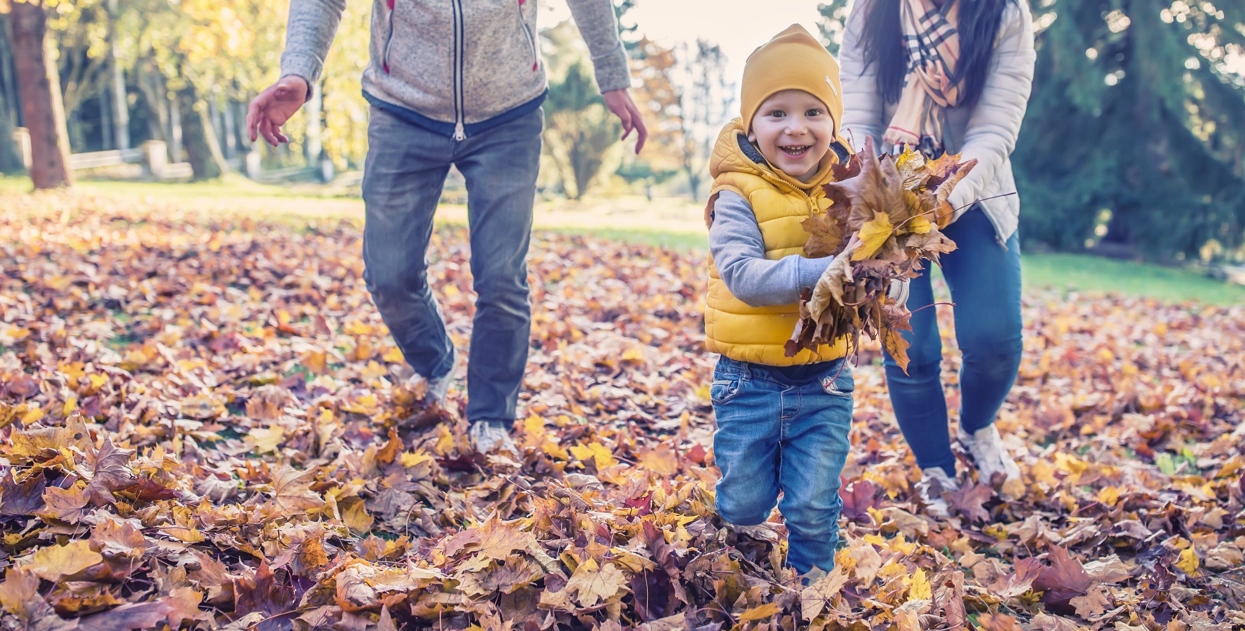 child enjoying sensory play with autumn leaves, parents walking behind